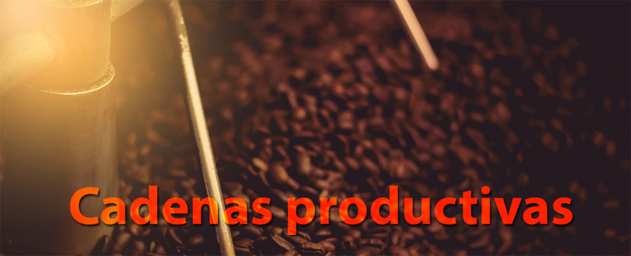 Cadenas productivas