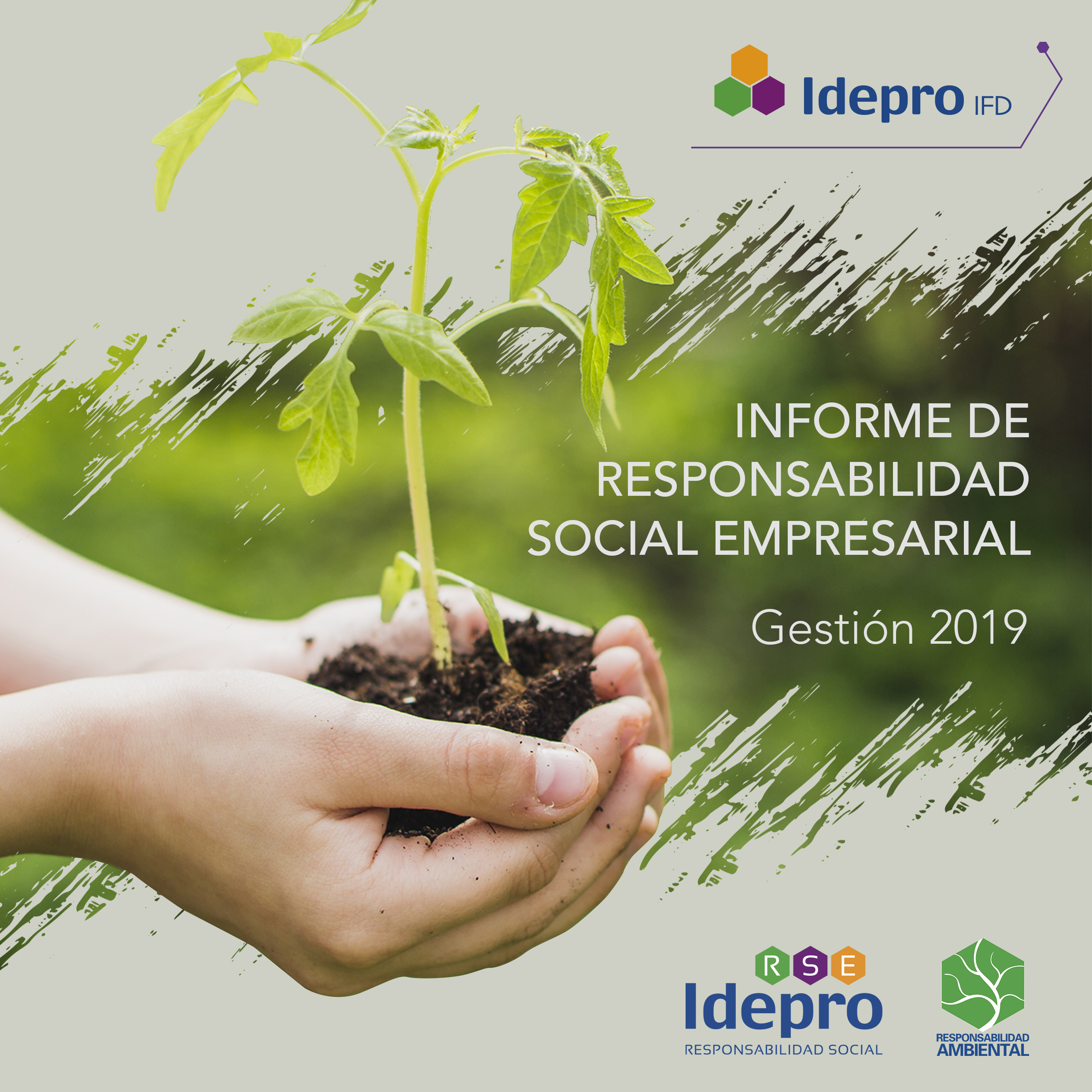 Memoria RSE 2019