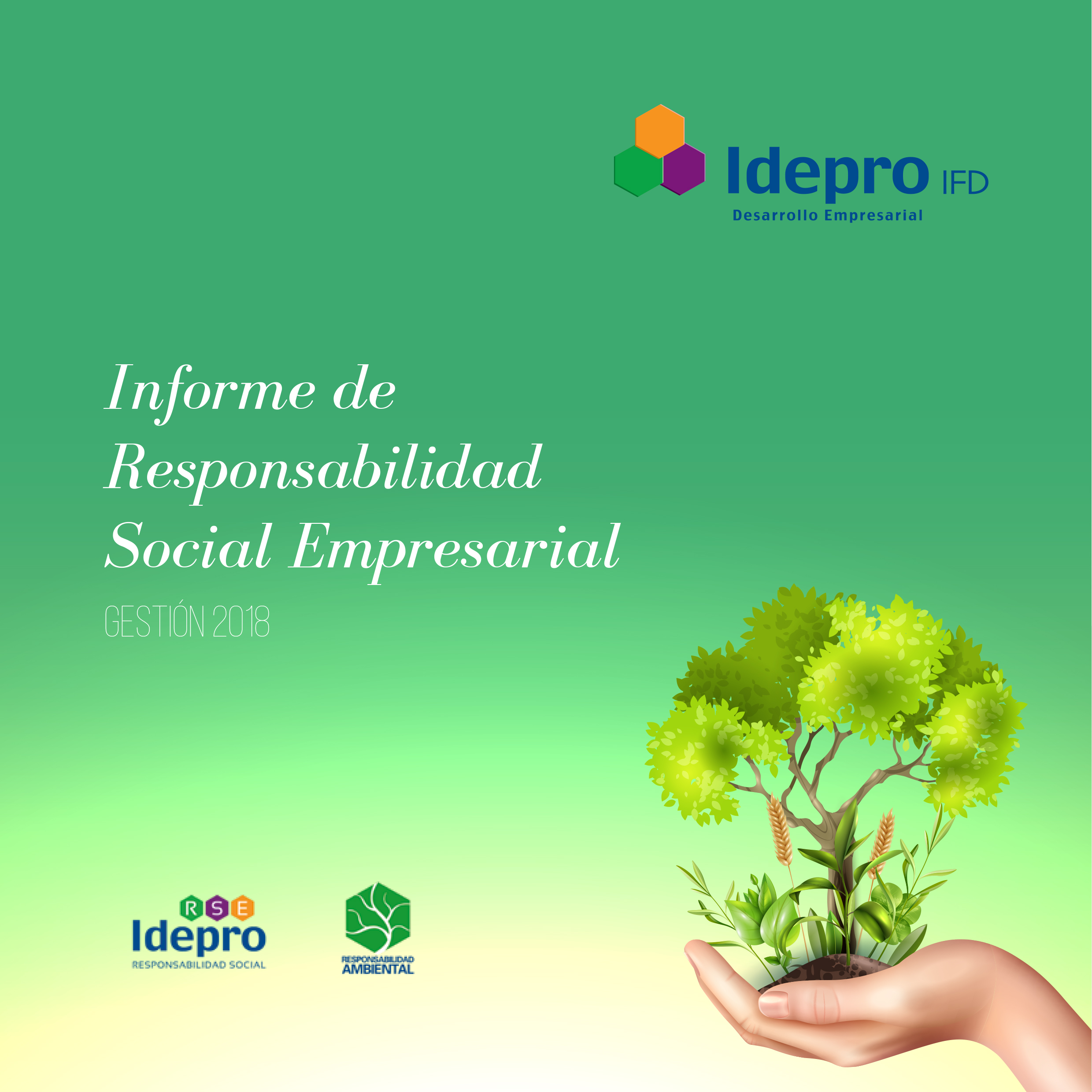 Memoria RSE 2018