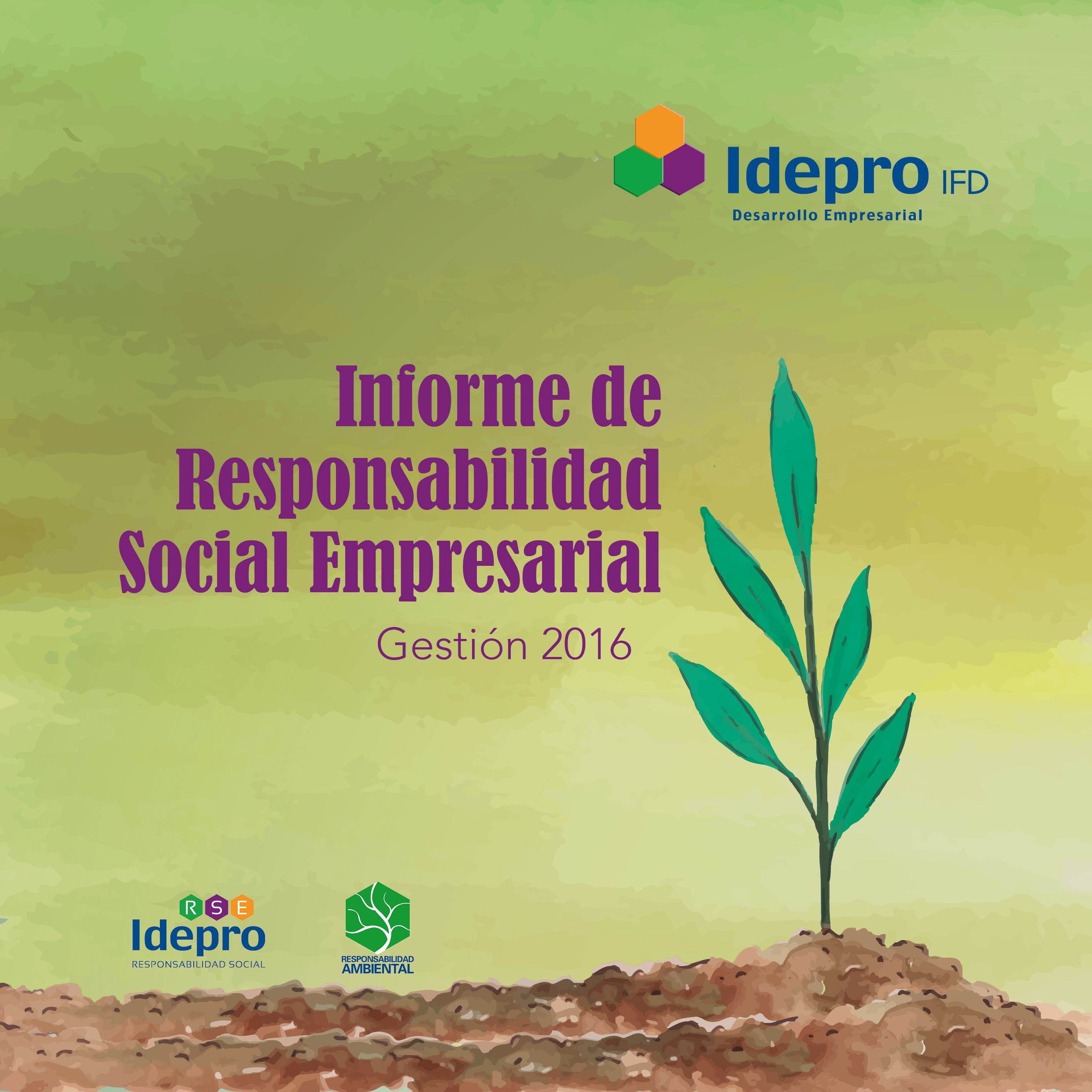 Memoria RSE 2016