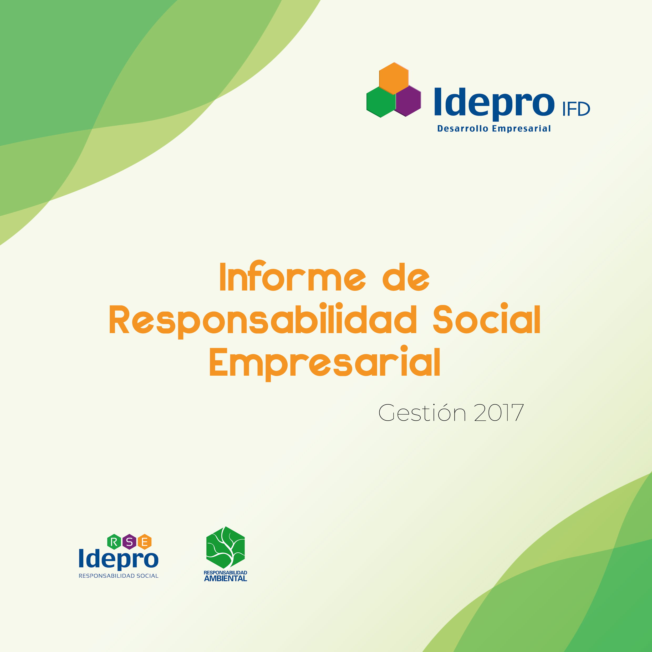Memoria RSE 2017