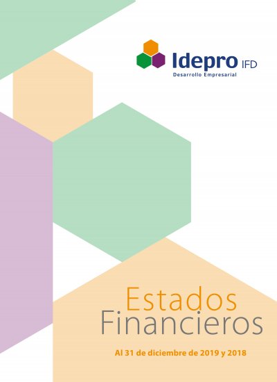 Estados Financieros  Auditados 2019