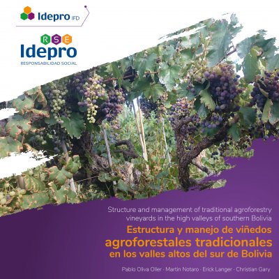 Estructura y manejo de viñedos agroforestales tradicionales en los valles altos del sur de Bolivia
