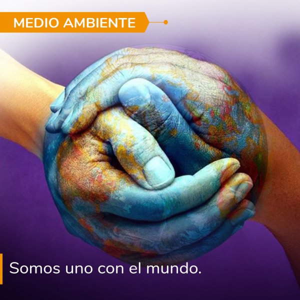 Medio Ambiente