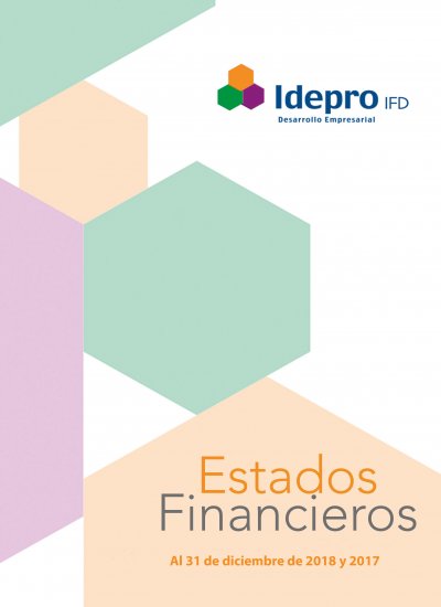 Estados Financieros Auditados 2018