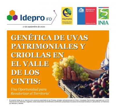 SEPARATA: Genética de uvas patrimoniales y criollas en el valle de los Cintis. Una oportunidad para Revalorizar el territorio.