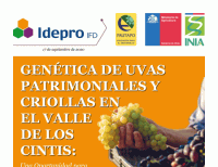 IDEPRO IFD y Fundación Fautapo publican separata sobre investigación en Viticultura